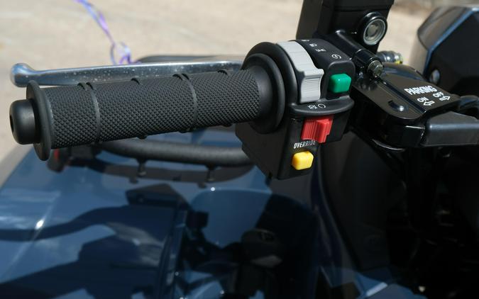 2025 KAWASAKI BRUTE FORCE 450 4X4