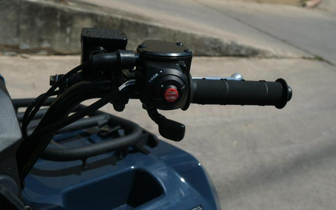 2025 KAWASAKI BRUTE FORCE 450 4X4