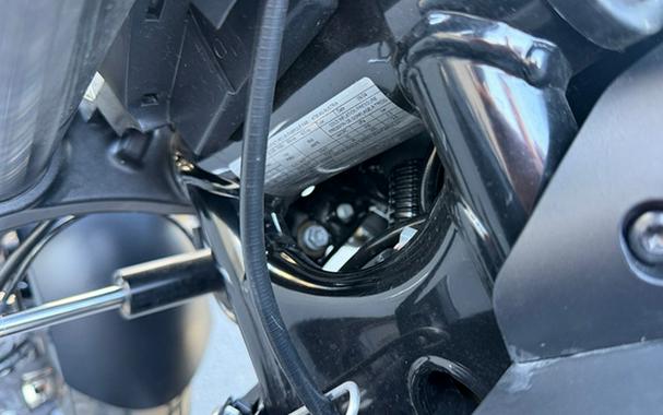 2025 Husqvarna Motorcycles SVARTPILEN 801