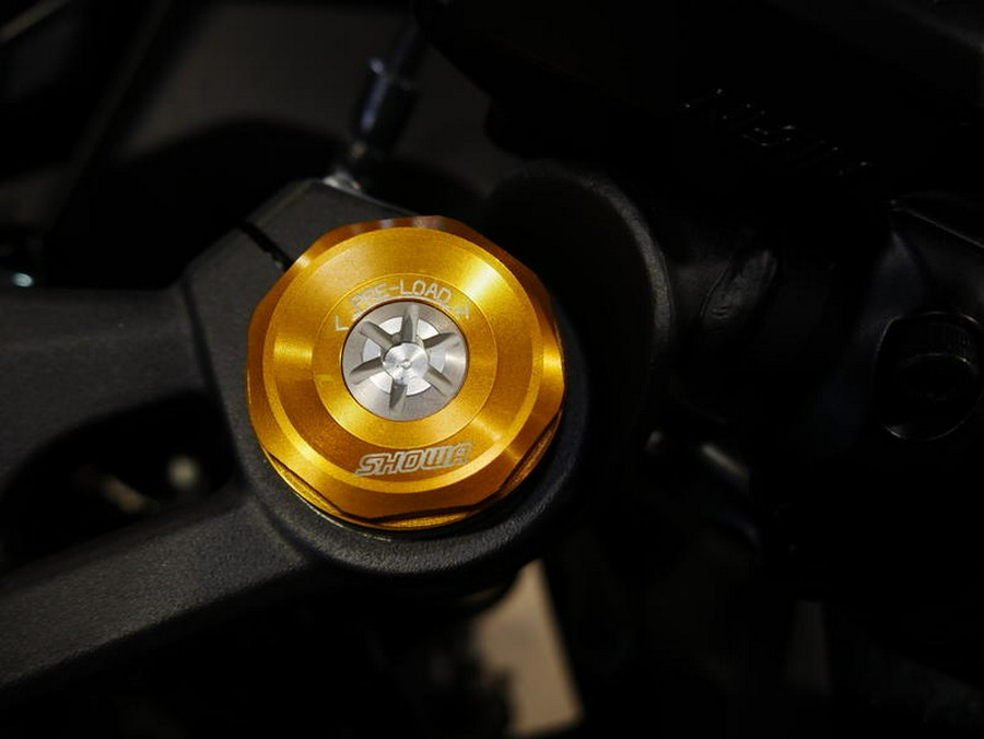 2026 Kawasaki Ninja® ZX™-4RR ABS