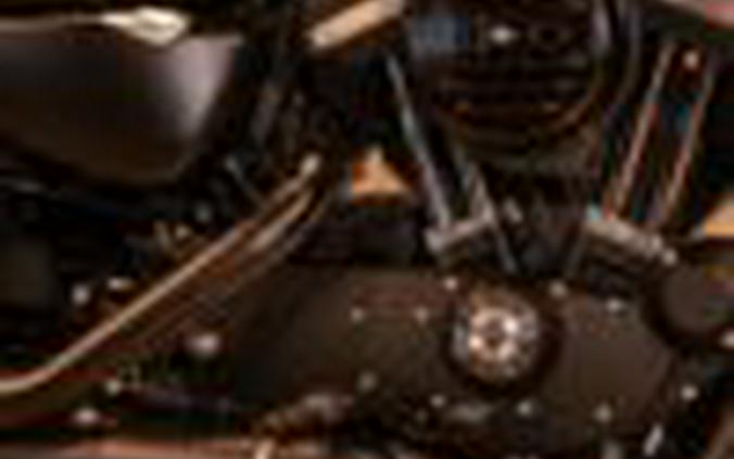 2020 HARLEY DAVIDSON SPORTSER IRON XL883™