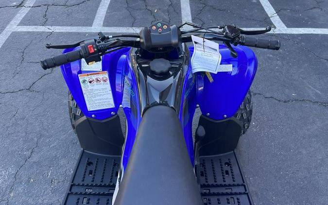 2024 Yamaha Raptor 110