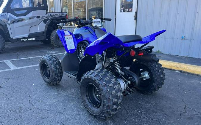 2024 Yamaha Raptor 110