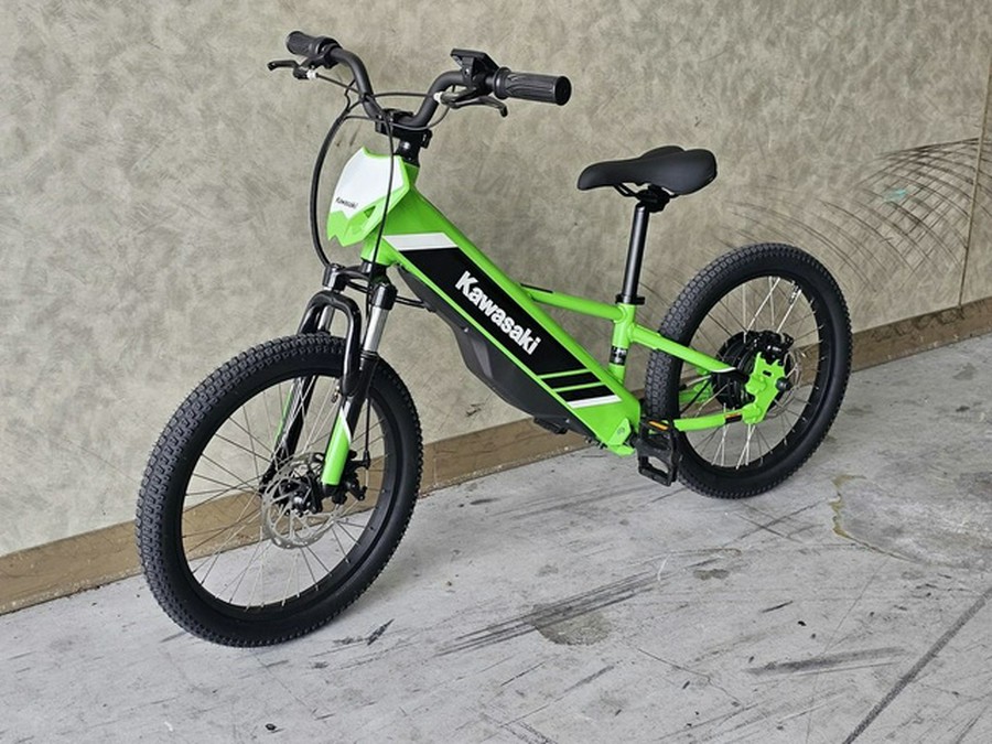 2024 Kawasaki Elektrode 20