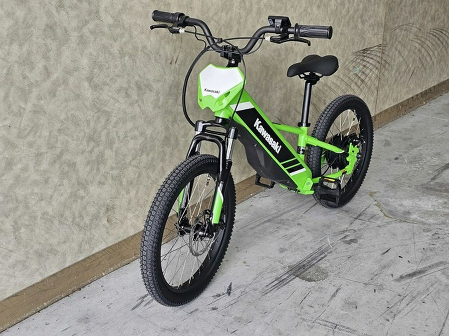 2024 Kawasaki Elektrode 20