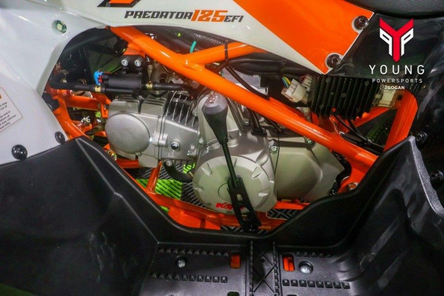 2026 Kayo Predator 125 EFI