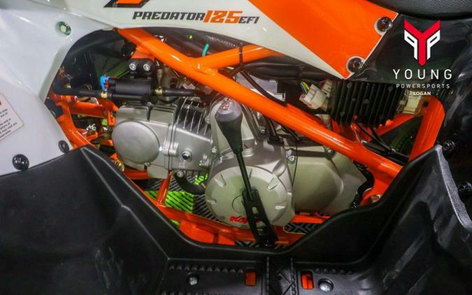 2026 Kayo Predator 125 EFI
