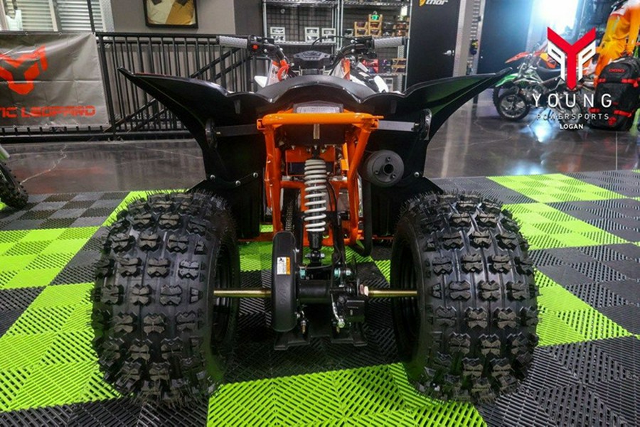 2026 Kayo Predator 125 EFI