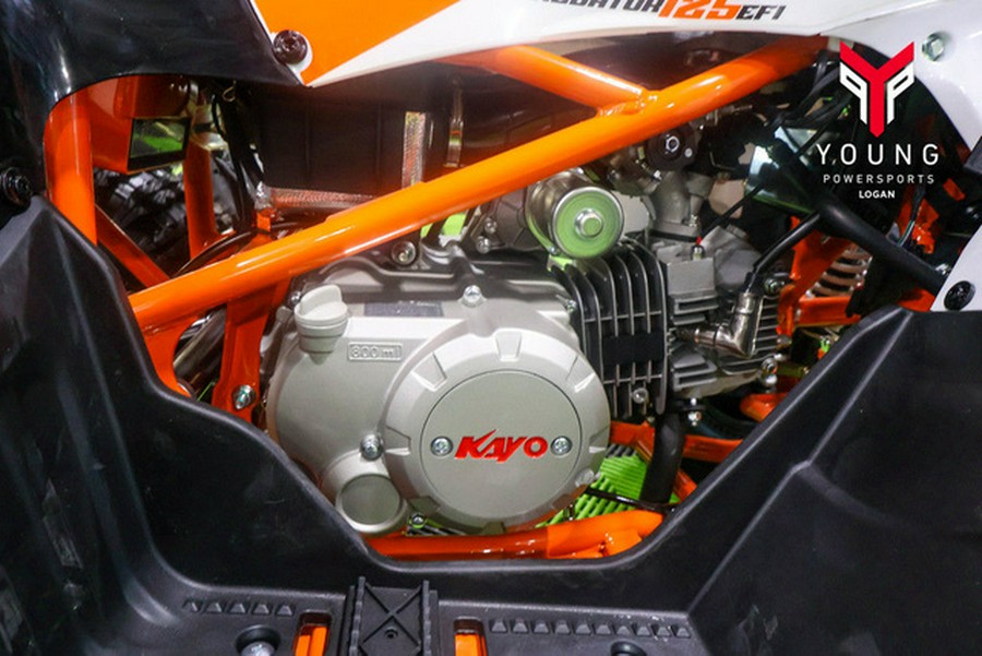 2026 Kayo Predator 125 EFI