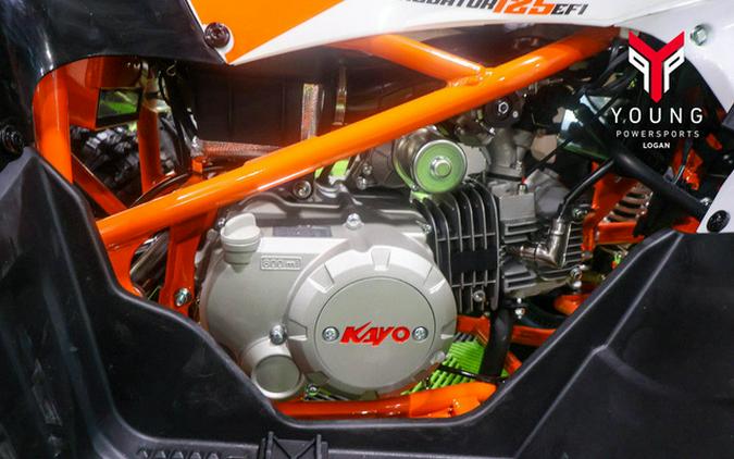 2026 Kayo Predator 125 EFI