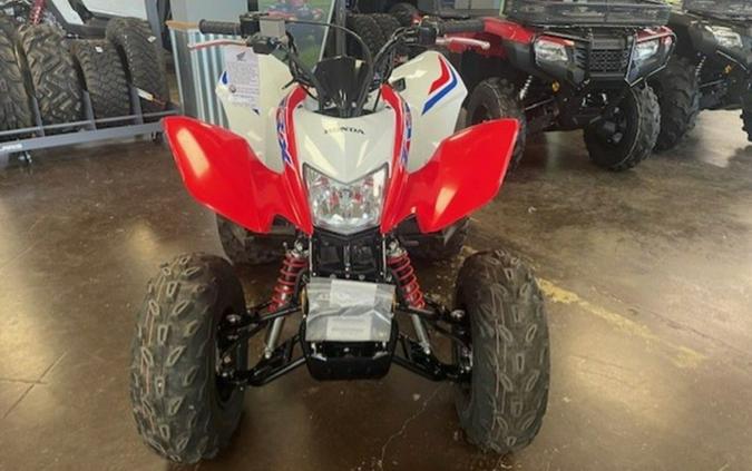 2026 Honda TRX 250X