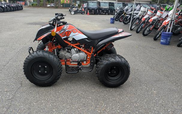 2026 Kayo Storm 150 EFI