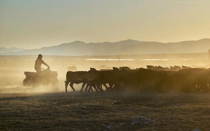 2027 CFMOTO CFORCE C6