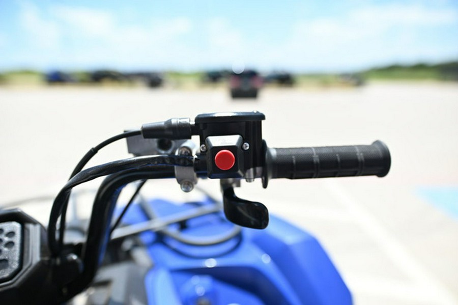 2025 Yamaha Kodiak 450