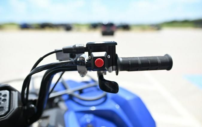 2025 Yamaha Kodiak 450