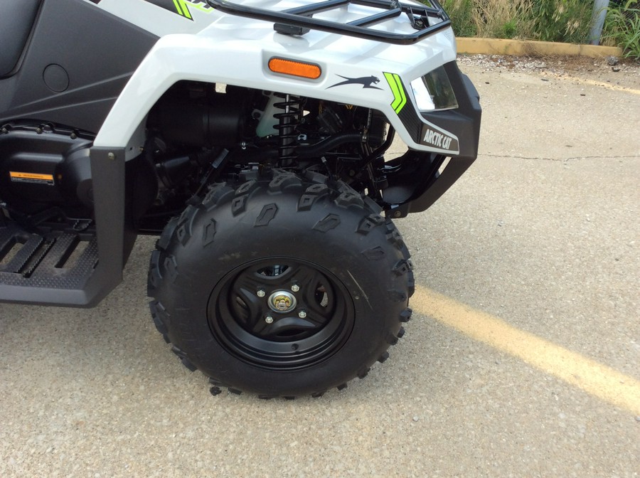 2024 Arctic Cat Off Road Alterra 450 4x4