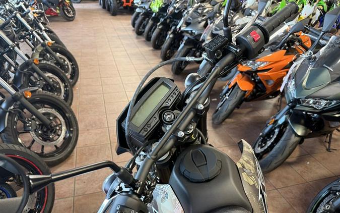 2026 Kawasaki KLX 300