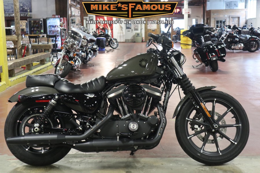 2019 Harley-Davidson Iron 883™