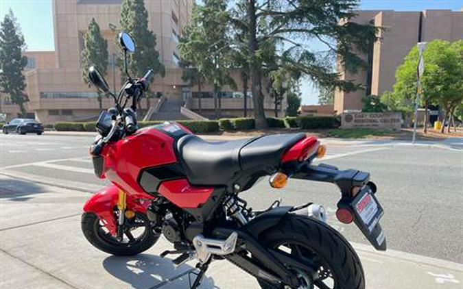 2025 Honda Grom