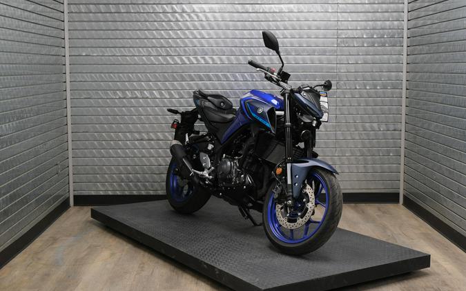 2025 YAMAHA MT03