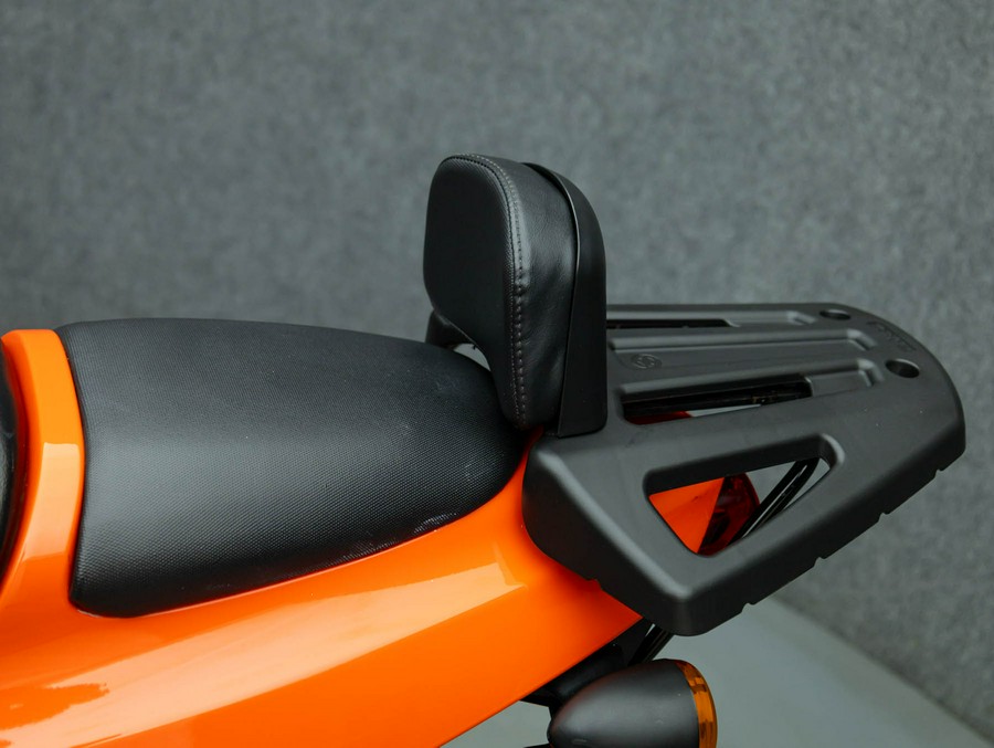 2009 HARLEY DAVIDSON XR1200 SPORTSTER