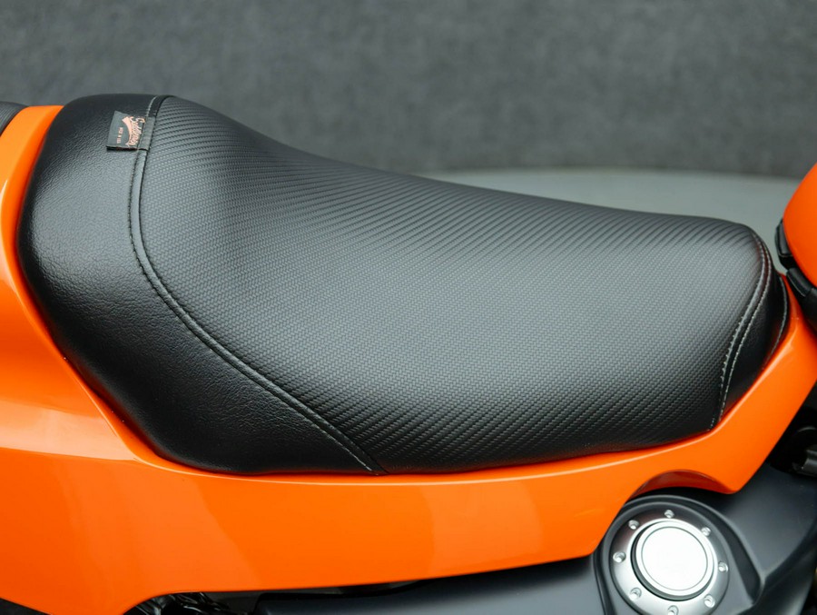 2009 HARLEY DAVIDSON XR1200 SPORTSTER