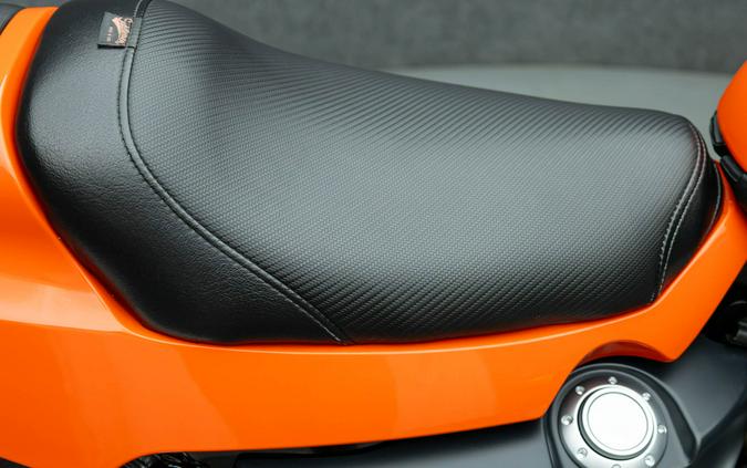 2009 HARLEY DAVIDSON XR1200 SPORTSTER