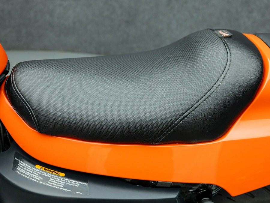 2009 HARLEY DAVIDSON XR1200 SPORTSTER