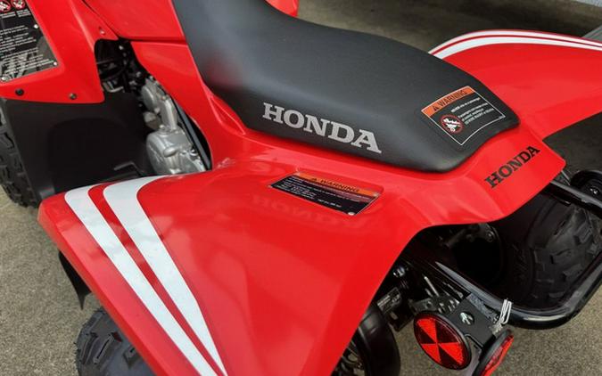 2026 Honda TRX90X