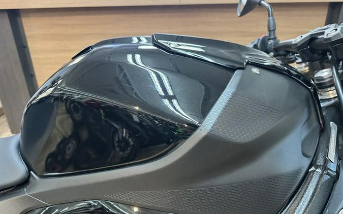 2024 BMW S 1000 R Black Storm Metallic