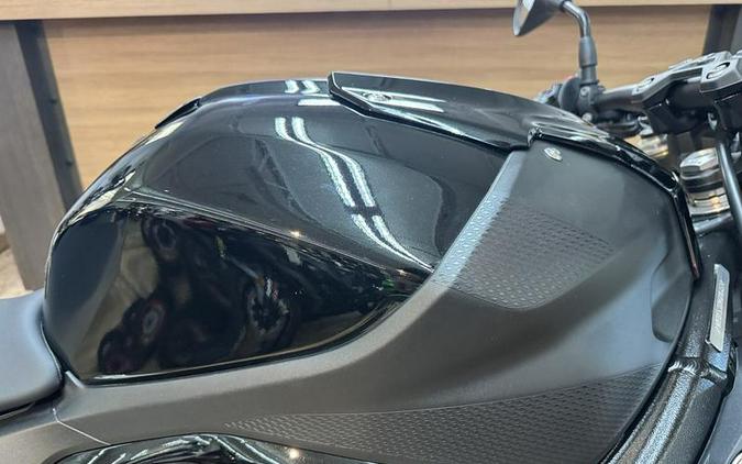 2024 BMW S 1000 R Black Storm Metallic