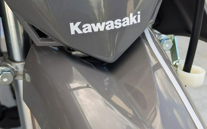 2025 Kawasaki KLX® 110R