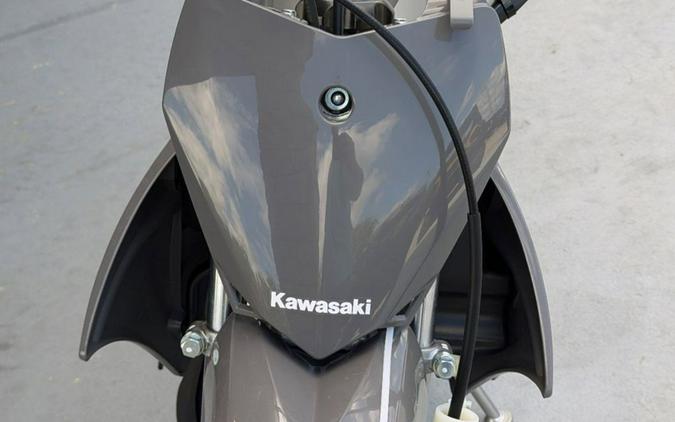 2025 Kawasaki KLX® 110R