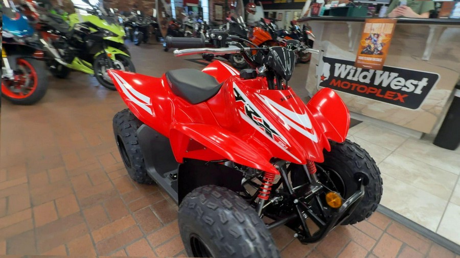 2026 Honda TRX 90X