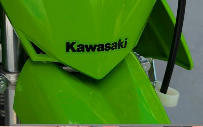 2025 Kawasaki KLX® 110R L