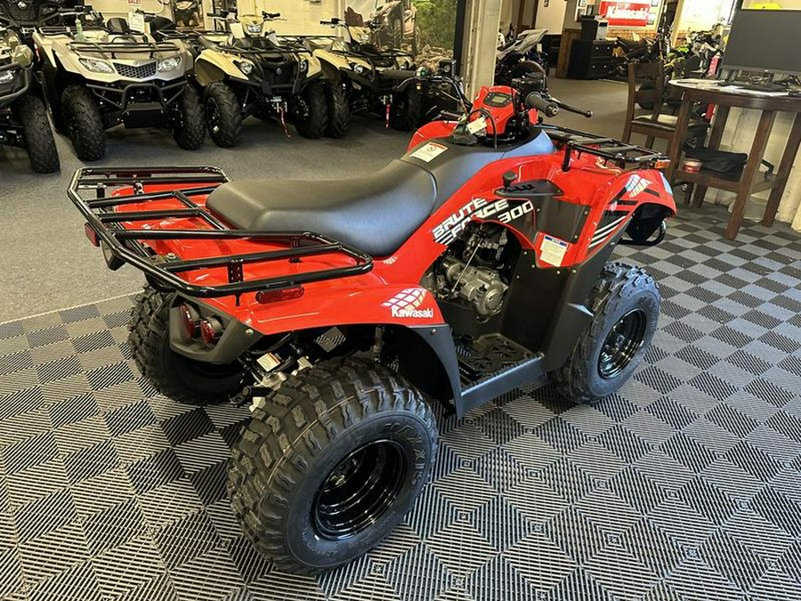 2024 Kawasaki Brute Force® 300