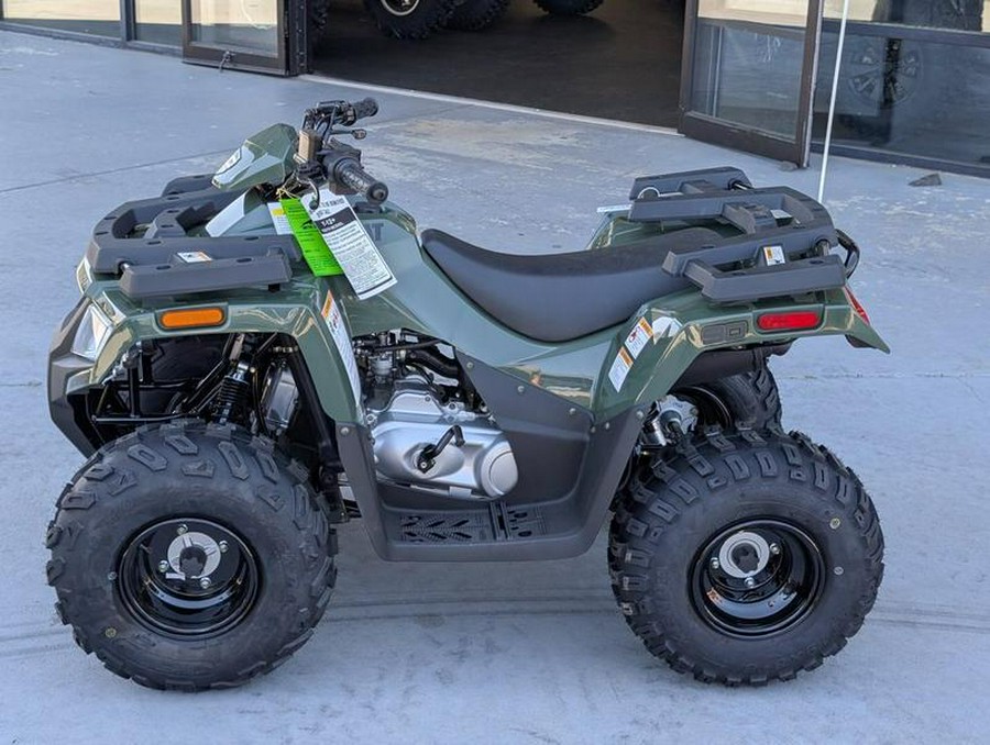 2026 Arctic Cat® Alterra 90