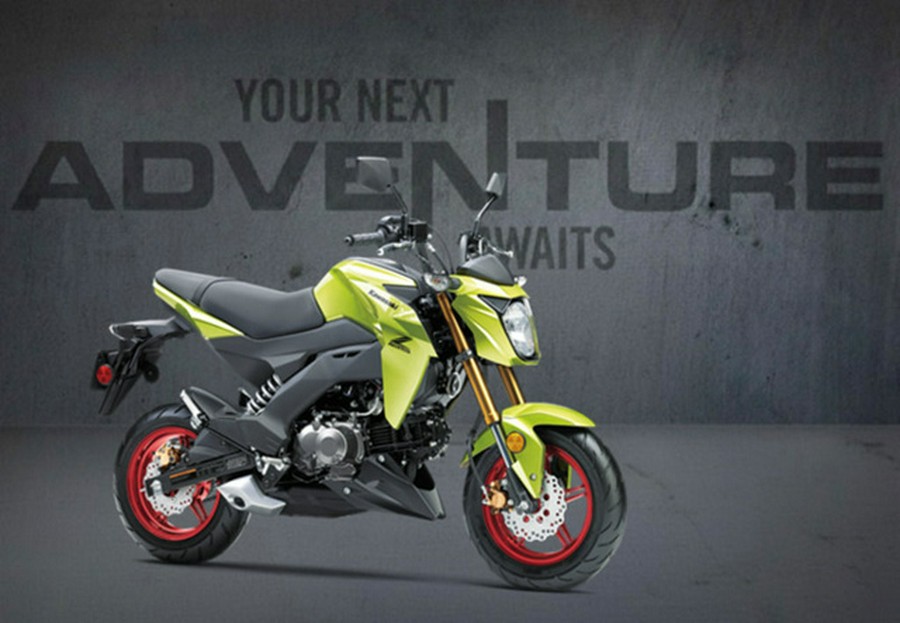 2026 Kawasaki Z125 PRO