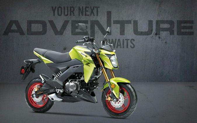 2026 Kawasaki Z125 PRO
