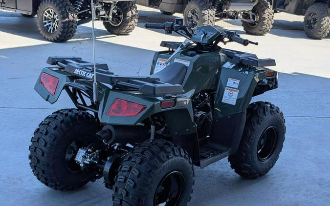 2026 Arctic Cat® Alterra 90