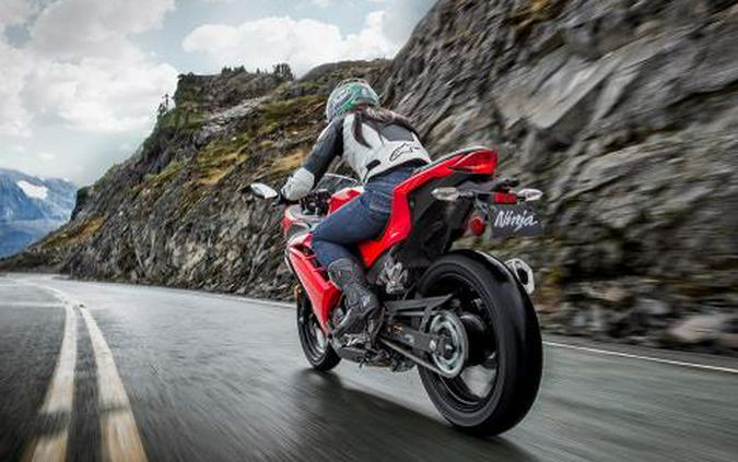 2016 Kawasaki Ninja 300