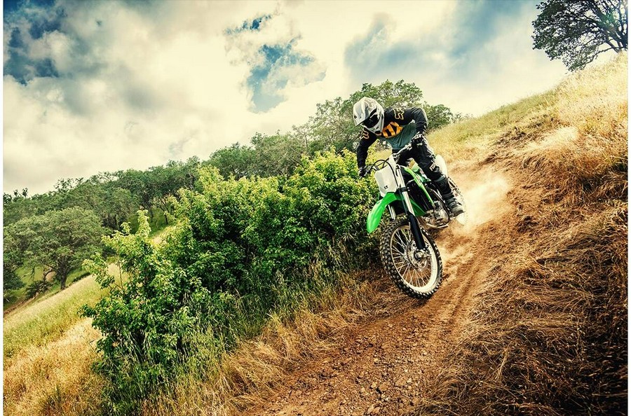 2020 Kawasaki KLX 300R