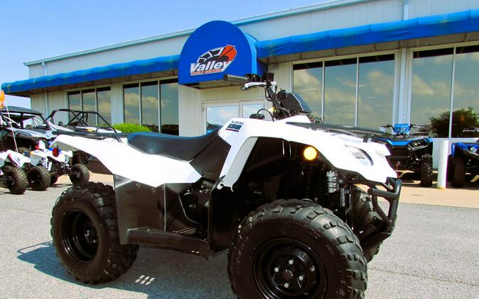 2019 Suzuki King Quad 400 Automatic