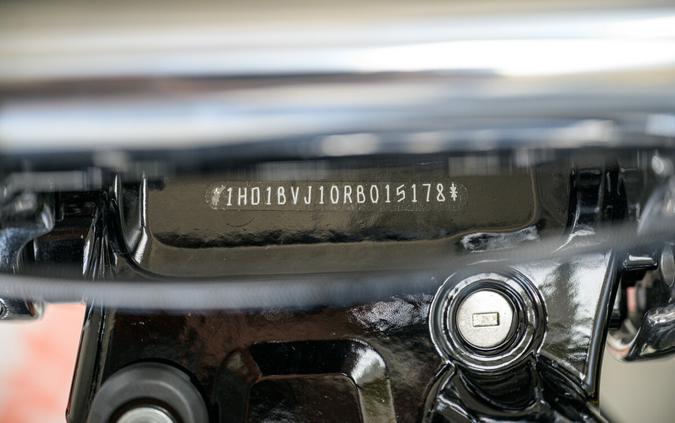 2024 Harley-Davidson Softail Standard Cruiser FXST