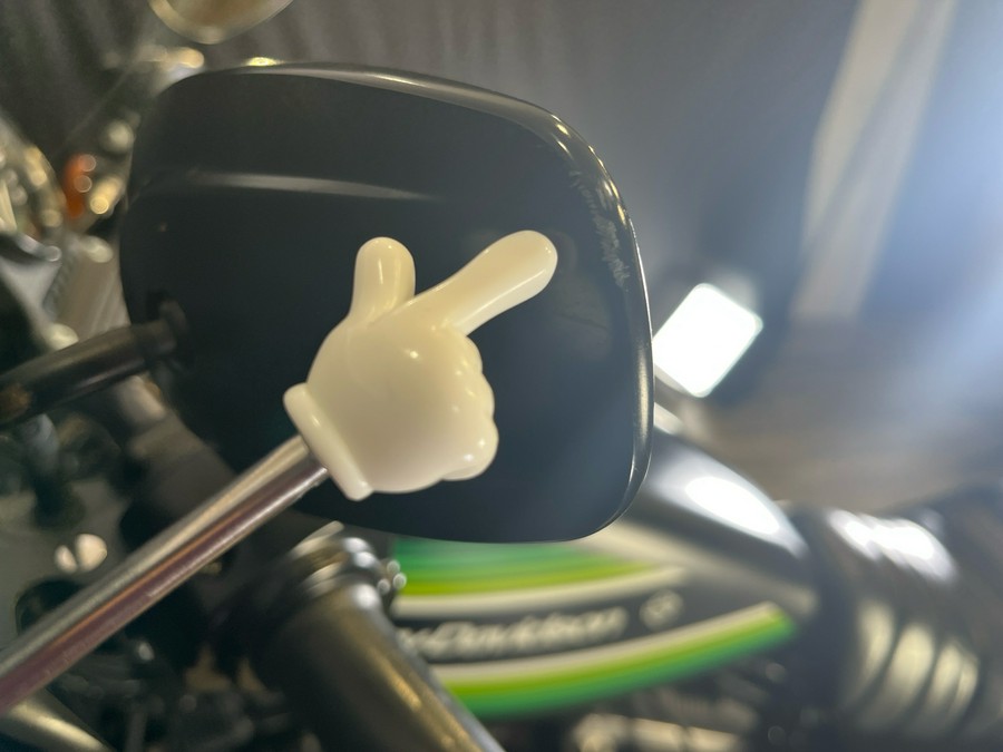 2021 Harley-Davidson Iron 883™