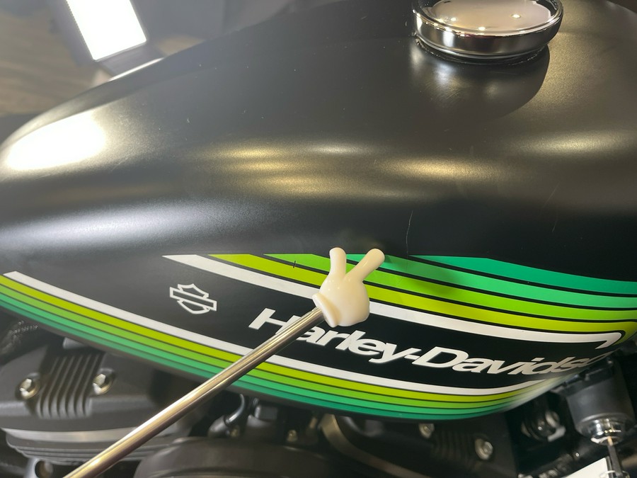 2021 Harley-Davidson Iron 883™