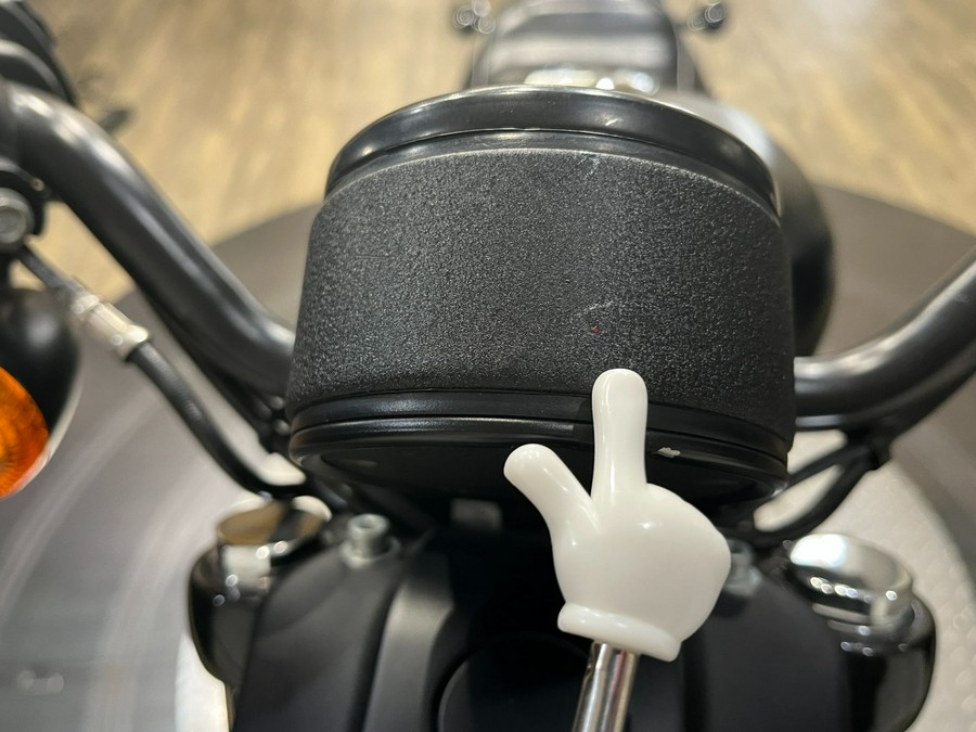 2021 Harley-Davidson Iron 883™