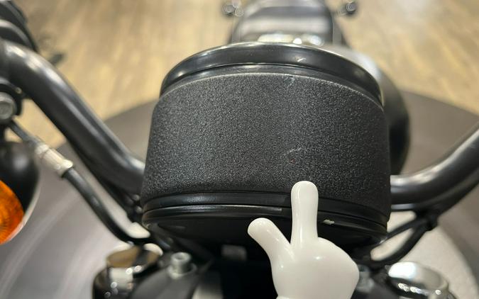 2021 Harley-Davidson Iron 883™