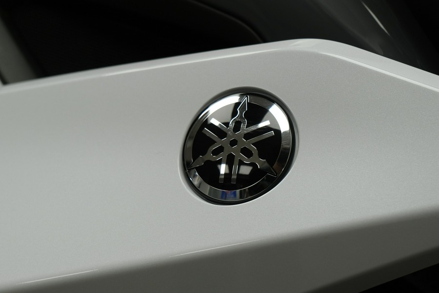 2019 YAMAHA TRACER 900