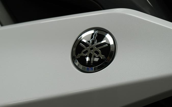 2019 YAMAHA TRACER 900